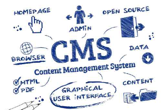 CMS開発